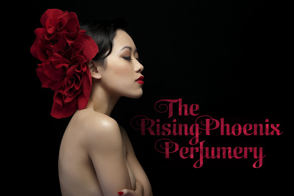 City Oud  Musk Rose  The Rising Phoenix Perfumery